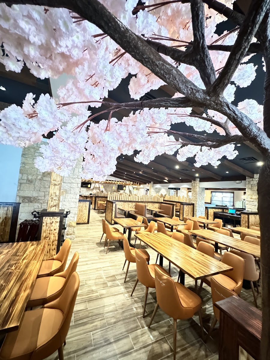 Sushi Masa Plano